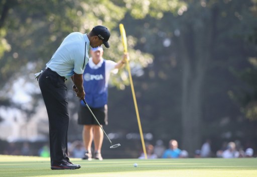 caddie-custodisce.jpg